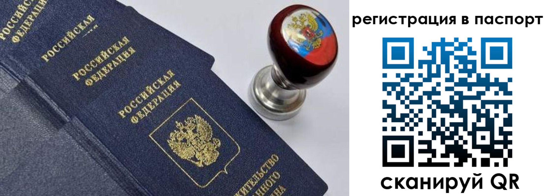 прописка поиск в Марий Эл